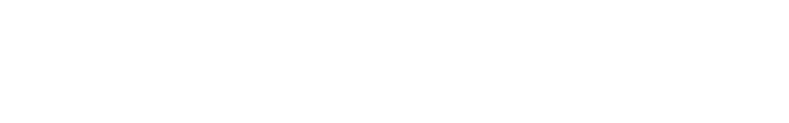 BoomSonar AI